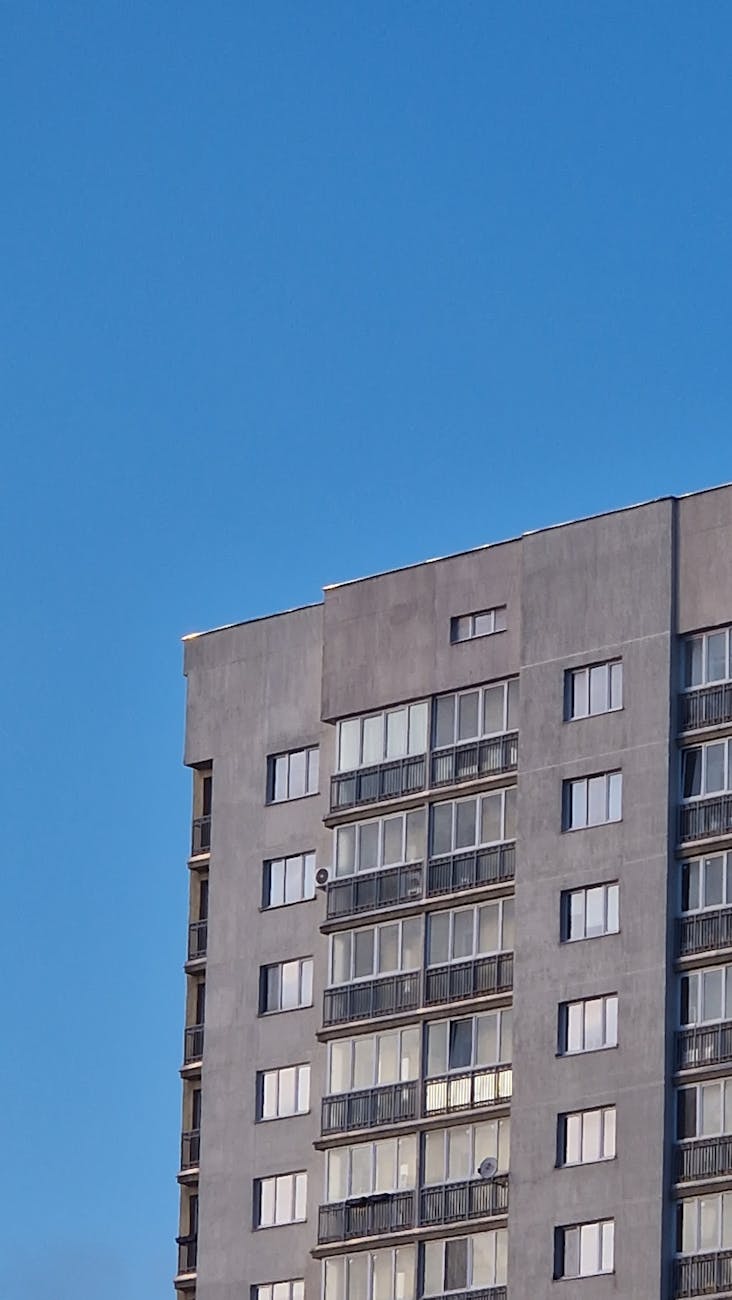 Студия 142 м² в новостройке