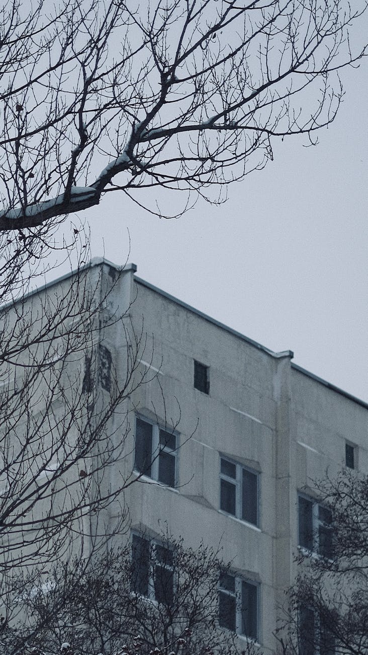 1-комн. квартира, 114 м²